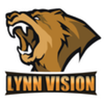 Lynn Vision CS:GO
